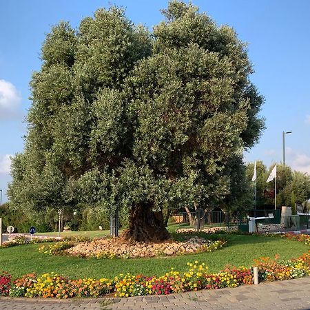 Mina'S Suites - קיסריה Esterno foto